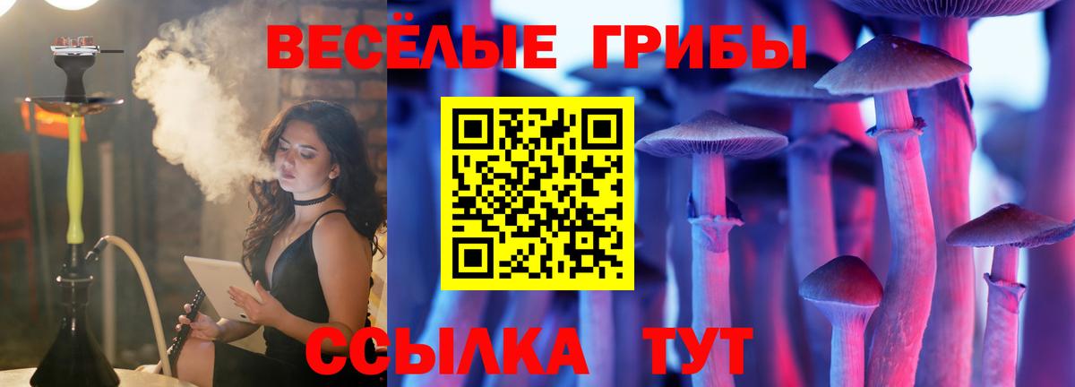 Ивантеевка  Галлюциногенные грибы прущие грибы  Вход с VPN 